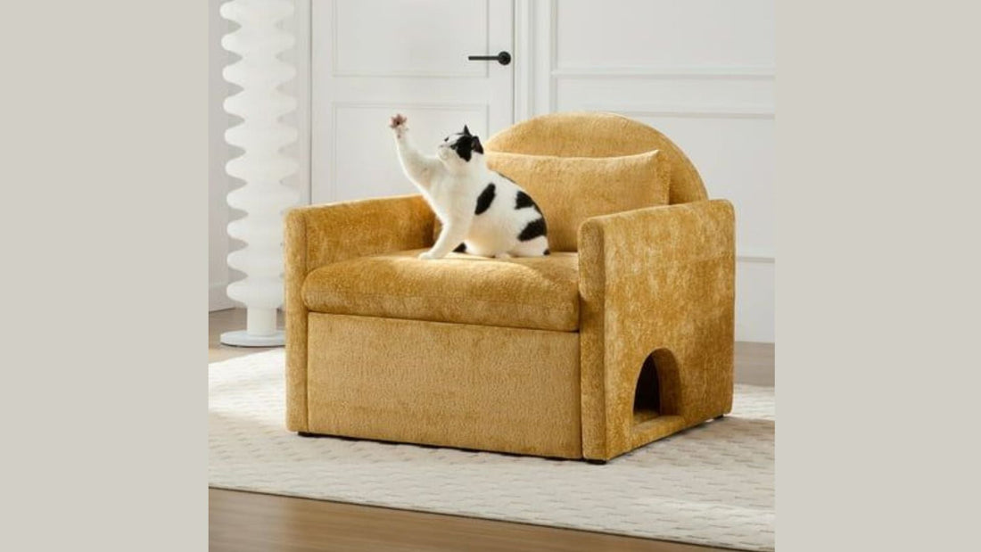 The Best Sofas for Pet Owners